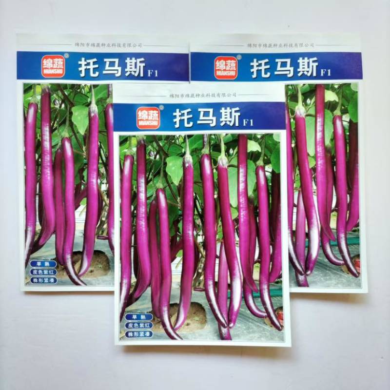 绵蔬托马斯茄子种子早熟细长紫红线茄种籽1000粒