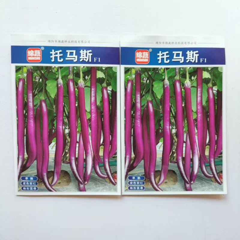 绵蔬托马斯茄子种子早熟细长紫红线茄种籽1000粒