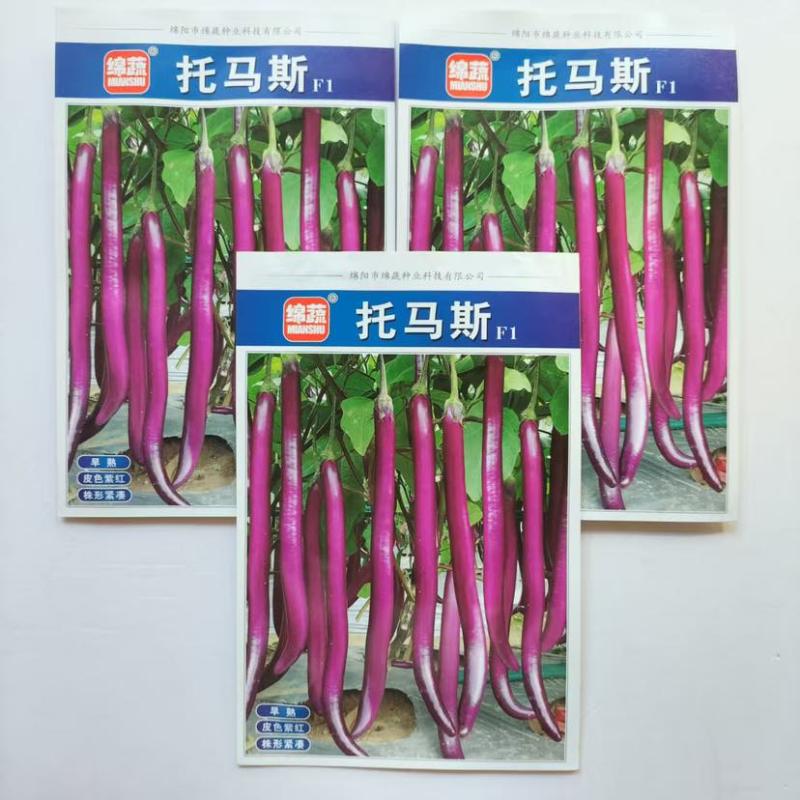 绵蔬托马斯茄子种子早熟细长紫红线茄种籽1000粒