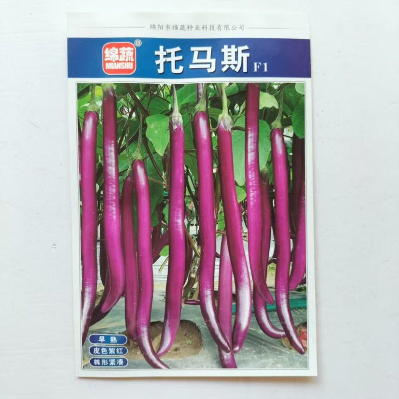 绵蔬托马斯茄子种子早熟细长紫红线茄种籽1000粒