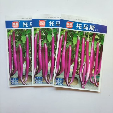 绵蔬托马斯茄子种子早熟细长紫红线茄种籽1000粒