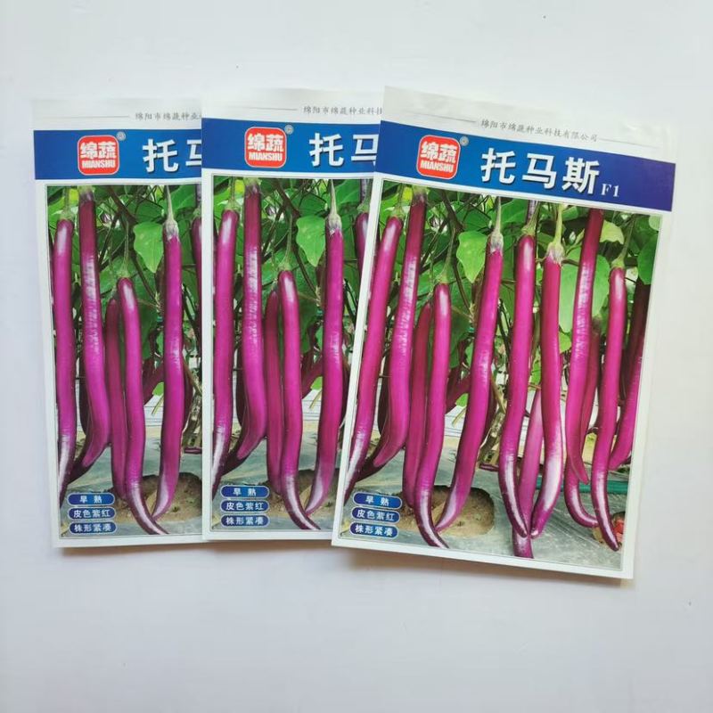 绵蔬托马斯茄子种子早熟细长紫红线茄种籽1000粒