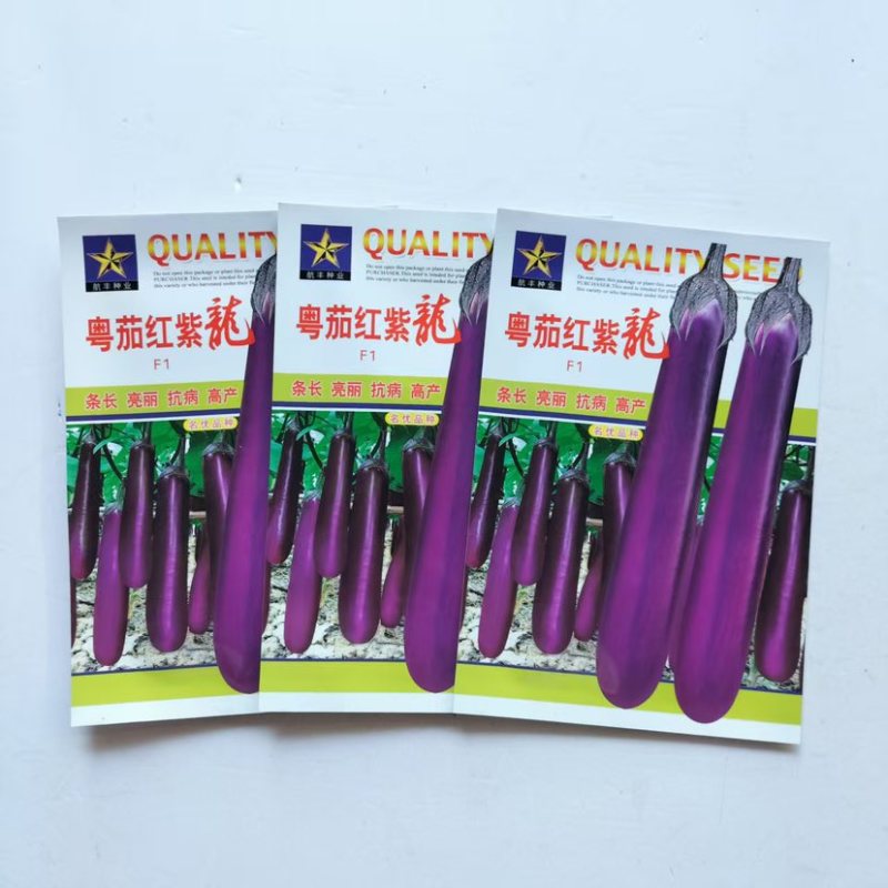 广东粤茄红紫龙茄子种子1000粒阳台种籽早熟茄果蔬菜种子