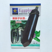 黑胖子长茄早熟甜糯烧烤10了皮薄紫黑色甜糯四季蔬菜长茄种子