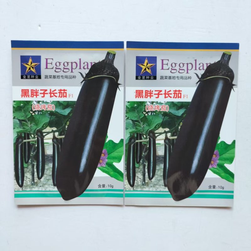 黑胖子长茄早熟甜糯烧烤10了皮薄紫黑色甜糯四季蔬菜长茄种子
