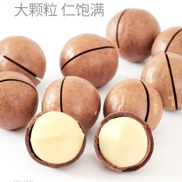 专业夏威夷果供应链，规格齐全价格稳定，接代发批发拿货。