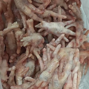 存货凤爪经常有货