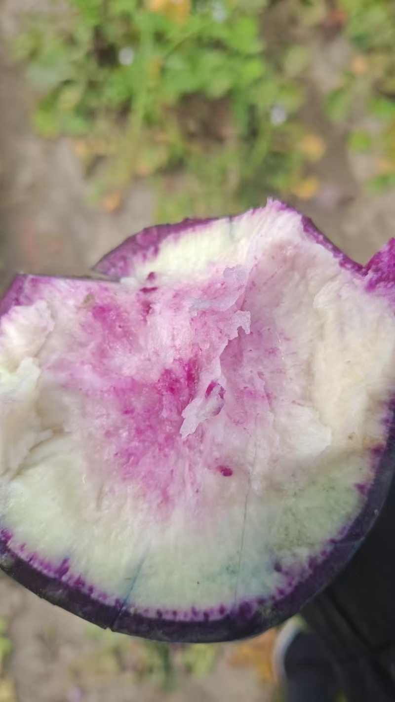 水浇地适合各种农作物