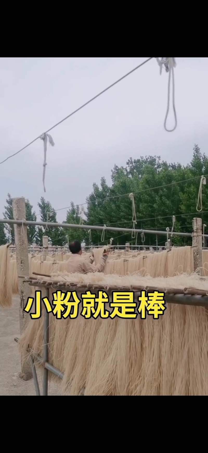源头厂家订做红薯粉条