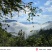 土蜂蜜海拔1200招野蜂放在上山进行放养，一年只采蜜两次