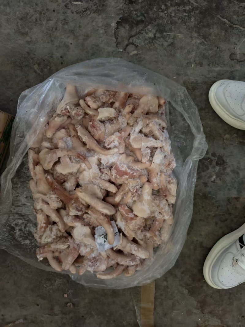 肥猪二级猪尾巴山东发货质量保证价格便宜