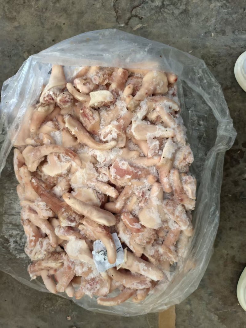 肥猪二级猪尾巴山东发货质量保证价格便宜