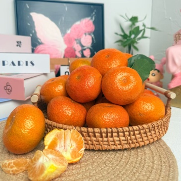 石门砂糖橘