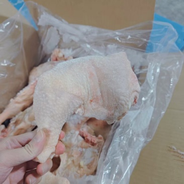 分割厂肉食鸡边腿40吨