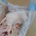 分割厂肉食鸡边腿40吨