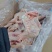 分割厂肉食鸡边腿40吨