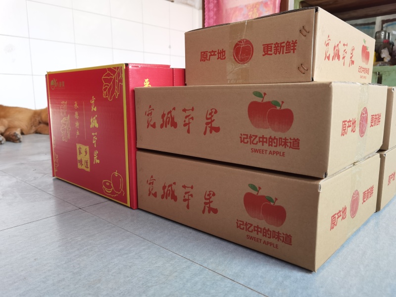 河北宽城苹果脆甜红富士当季时令水果礼盒承德产地直