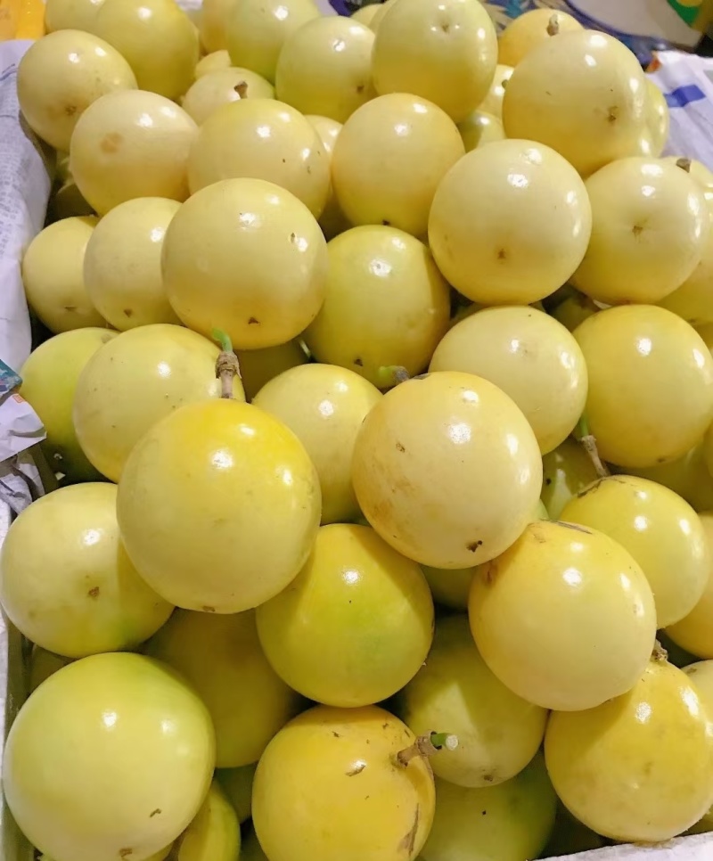 钦蜜九号黄金百香果