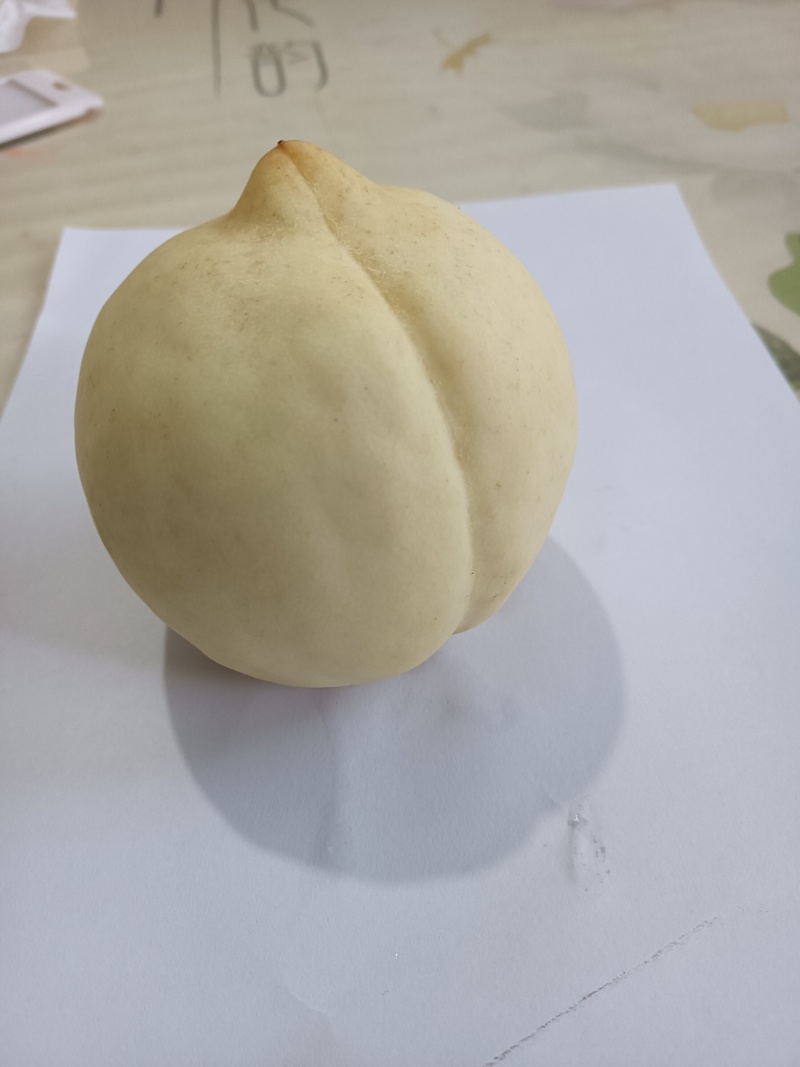 冬桃汝南县留盆镇***********