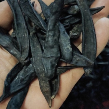 宽体金线水蛭干货，清水养殖，没用任何药品，