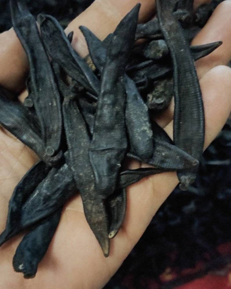 宽体金线水蛭干货，清水养殖，没用任何药品，