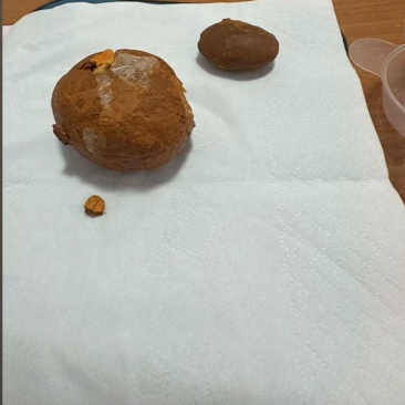 天然牛黄