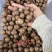 夏威夷果电商货一件代发，大货批发