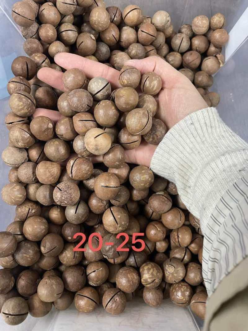 夏威夷果电商货一件代发，大货批发