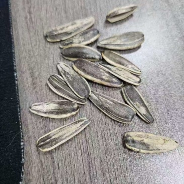 瓜子电商一件代发，大货批发