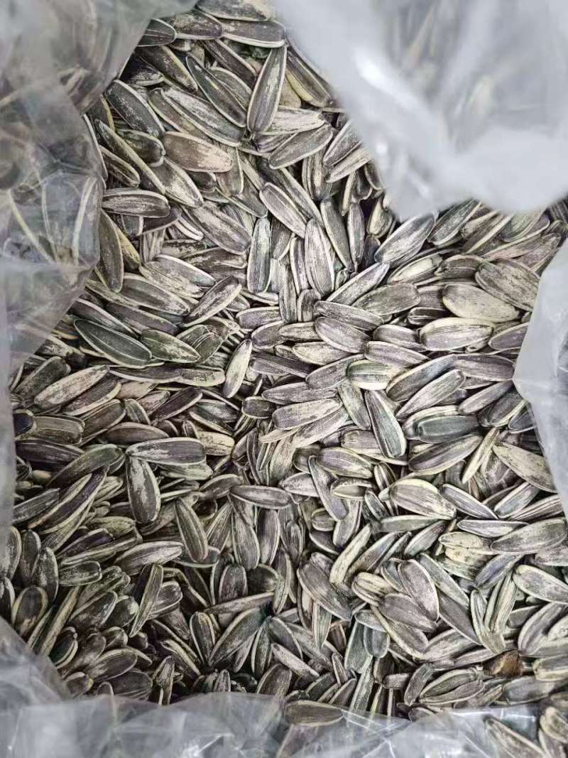 瓜子电商一件代发，大货批发