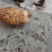 本地小草坝乌天麻量大的来走批发路线