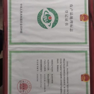 甘河酥梨