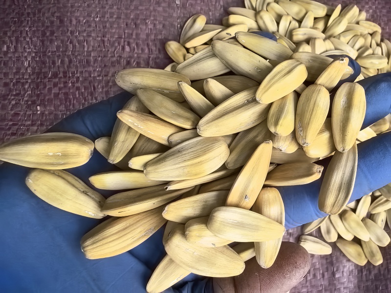 打手五香，陈皮果茶榴莲味瓜子
