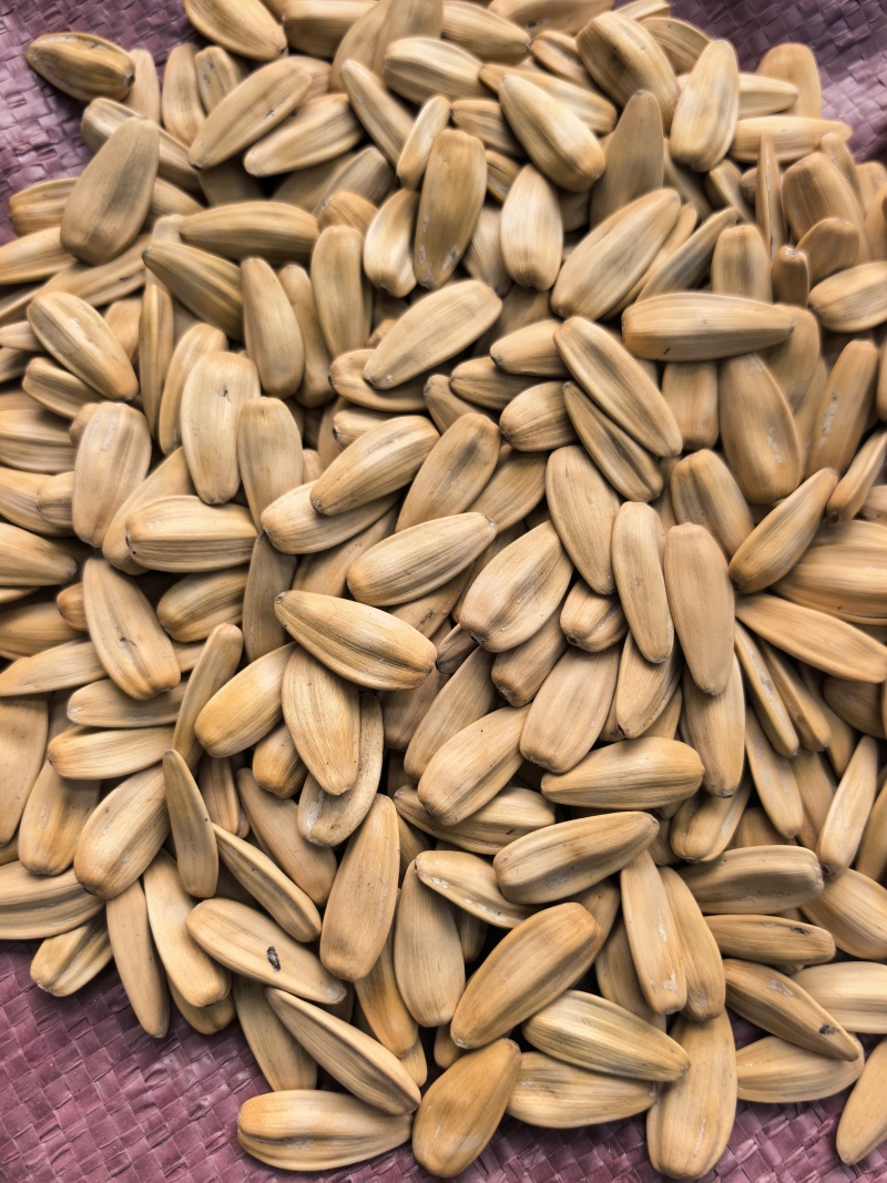 打手五香，陈皮果茶榴莲味瓜子