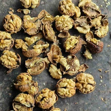 云南高山核桃纸皮