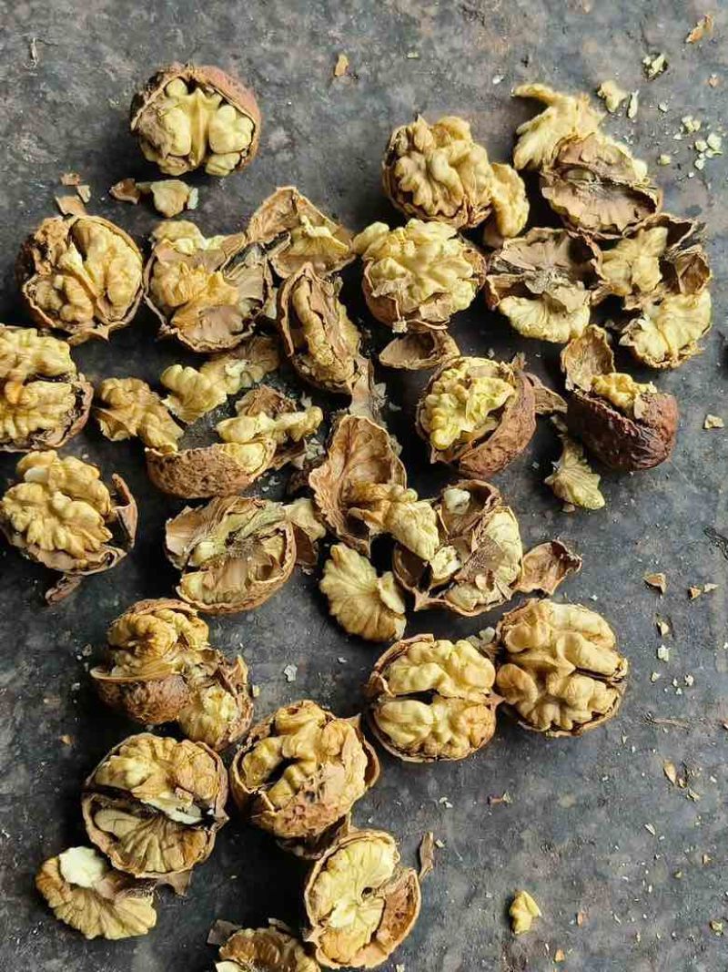 云南高山核桃纸皮