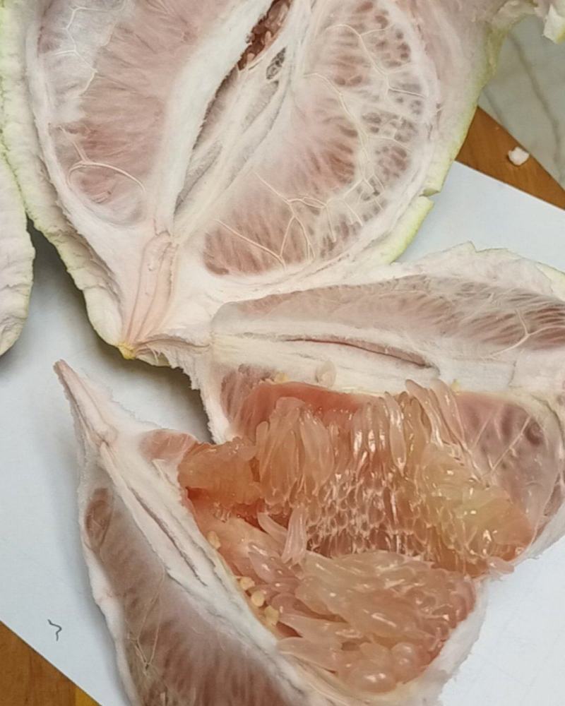 四川梓潼天宝蜜柚