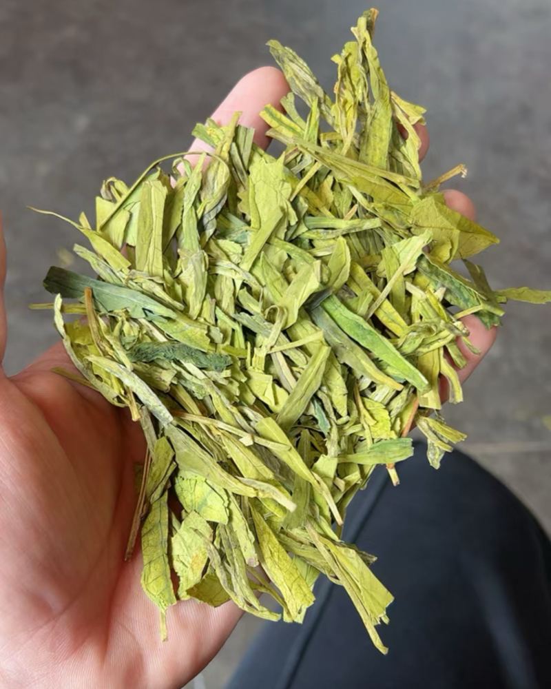 白茶龙井