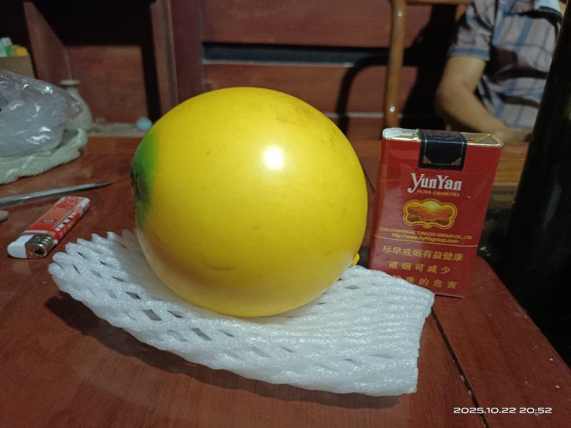 西双版纳黄晶果