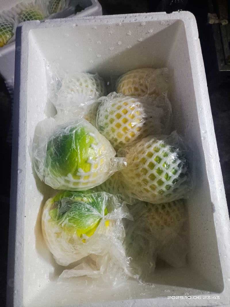 西双版纳黄晶果