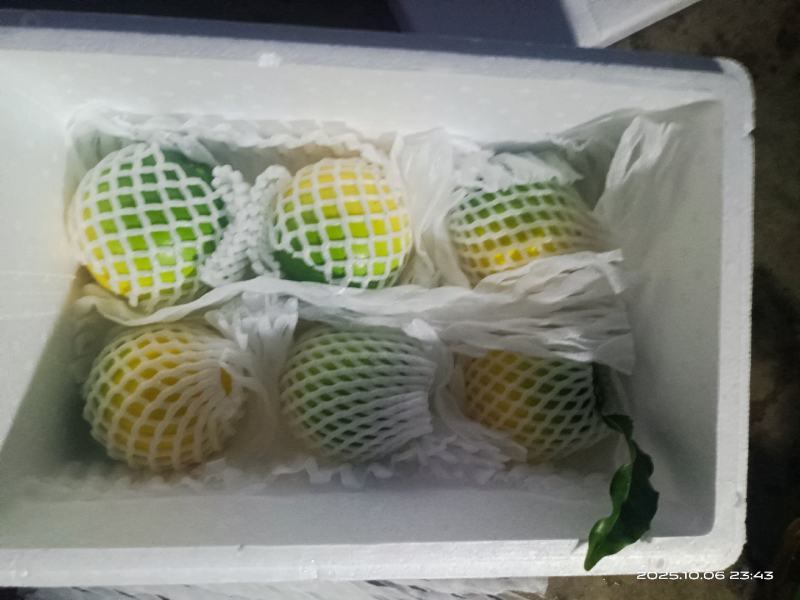 西双版纳黄晶果