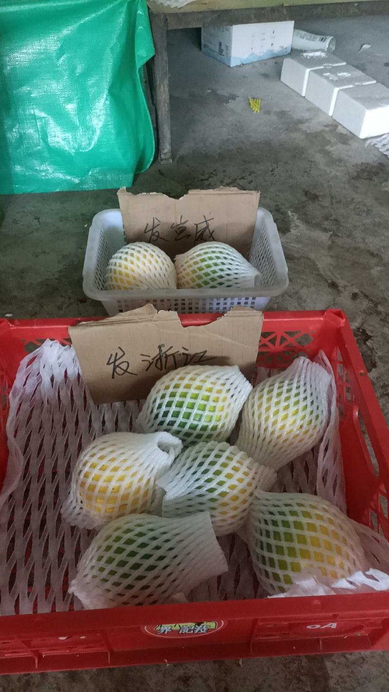 西双版纳黄晶果