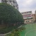 绿化种植修枝