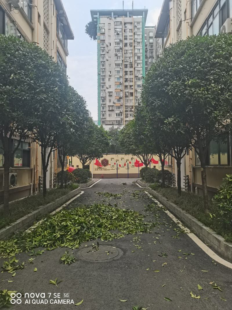 绿化种植修枝