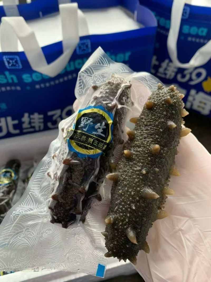 山东威海，本地海参