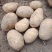 精品陇7陇薯7号土豆大量上市品质优良个头大味道好