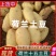 荷兰十五土豆新土豆/产地现挖批发/规格齐全/全国发货