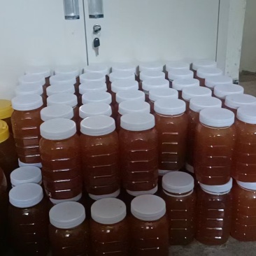 甘肃武都土蜂蜜（武都崖蜜）
