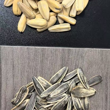 瓜子已到货，价格优势明显