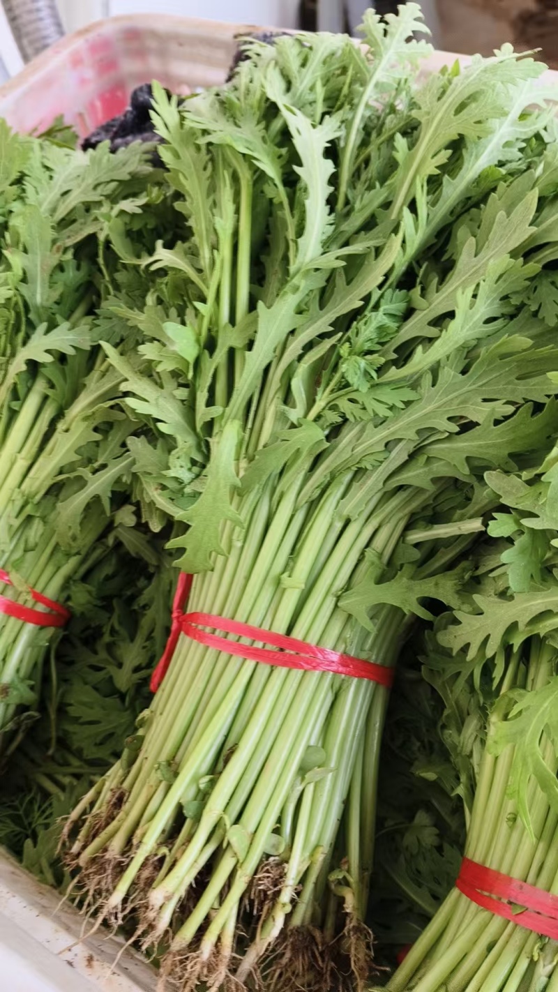 精品茼蒿